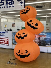 週末相談会！